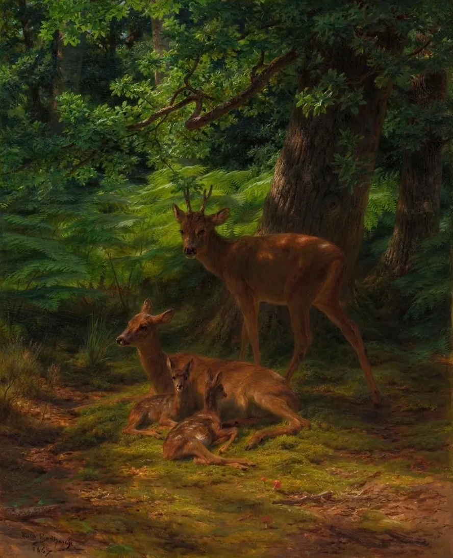 Deer in Repose