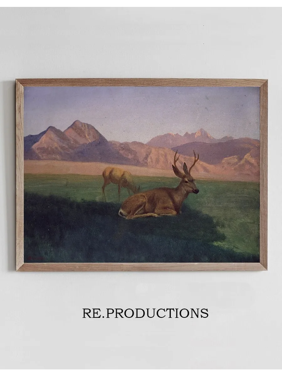 Deer