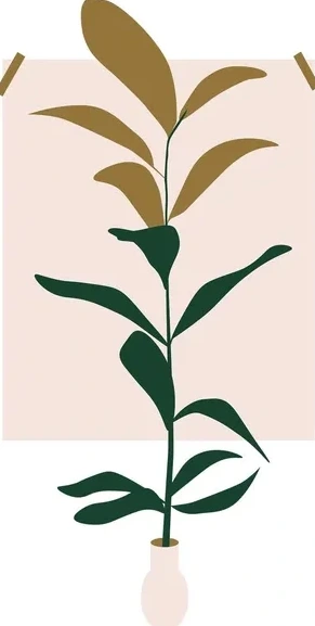 Delicate Plant
