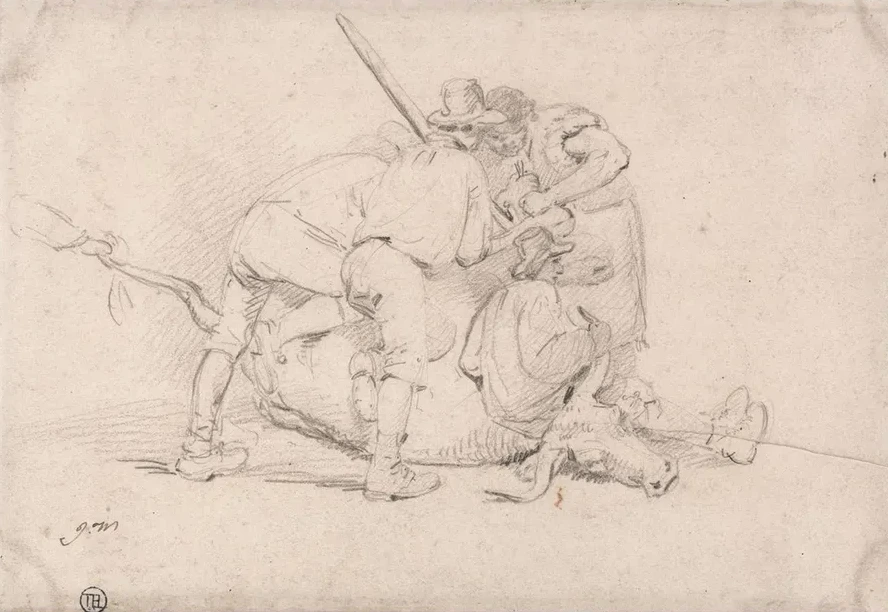 Delivering a Calf