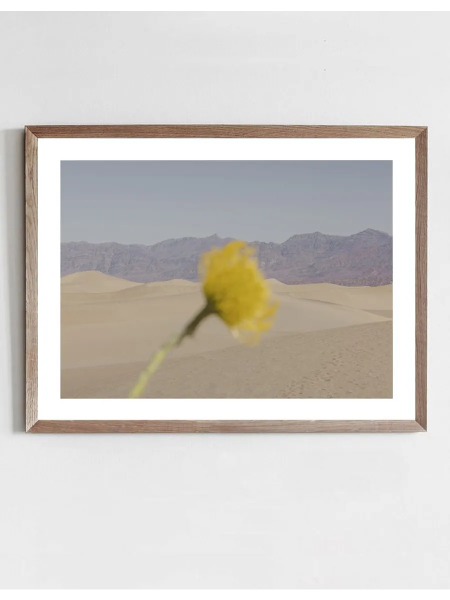 Desert Mirage
