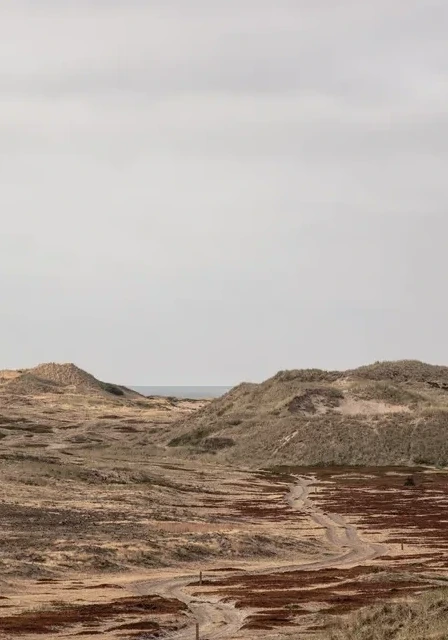 Desert