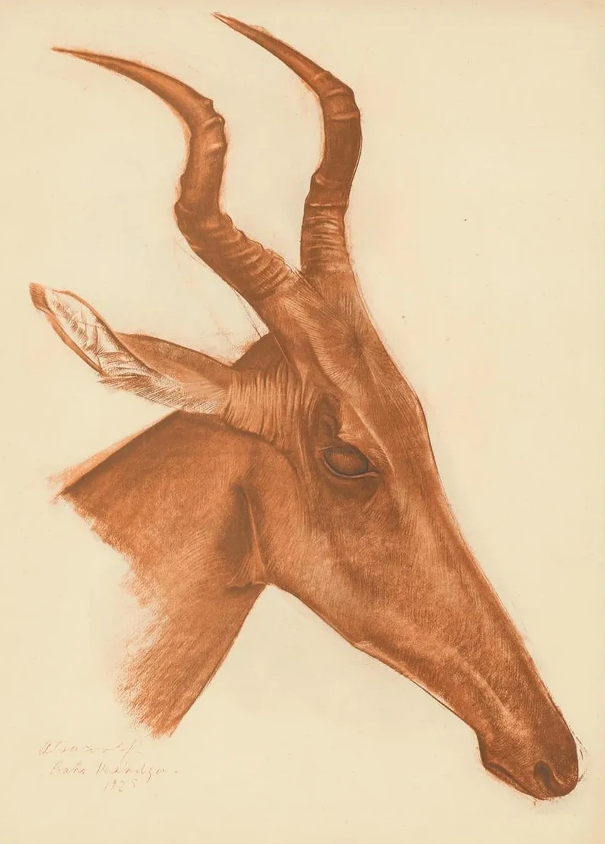 Dessins et Peintures D Afrique Pl 21