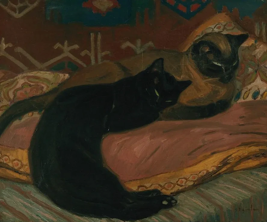 Deux Chats Couch's Sur Un Canap