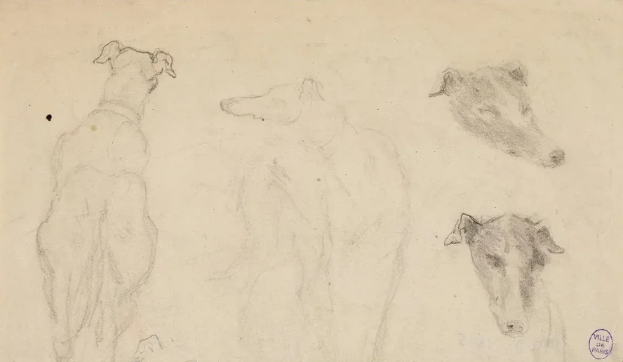 Deux Esquisses de Chiens, et Deux Croquis de T Te de Chien