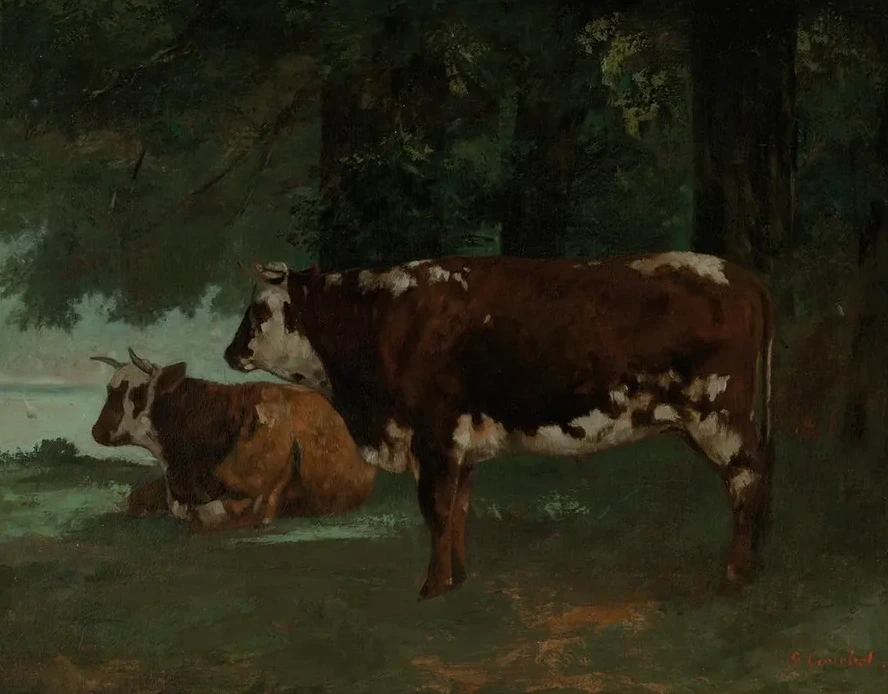 Deux Vaches a la Robe Marron