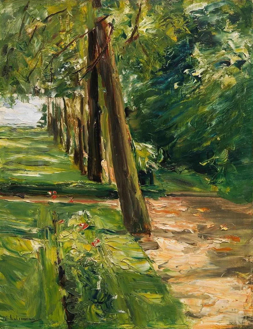 Die Birkenallee IM Wannseegarten Nach Osten, Wohl
