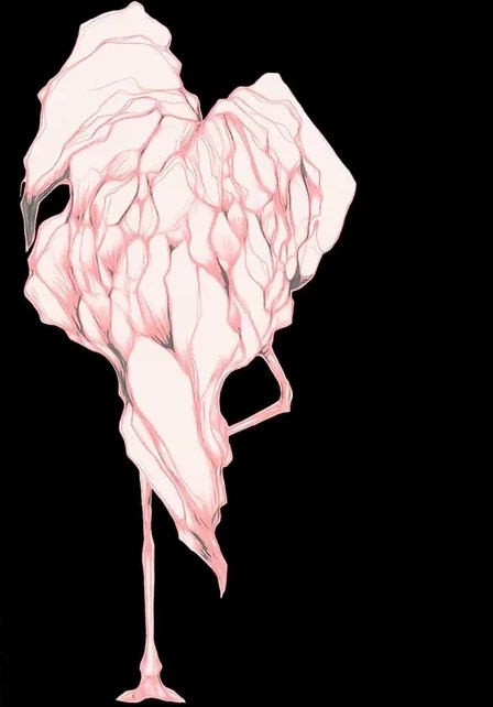 Disco Flamingo