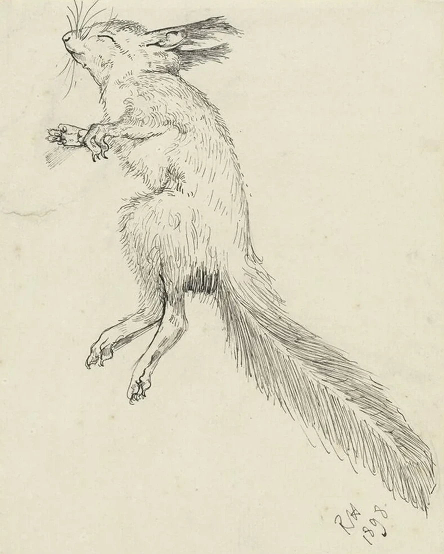 Dode Eekhoorn