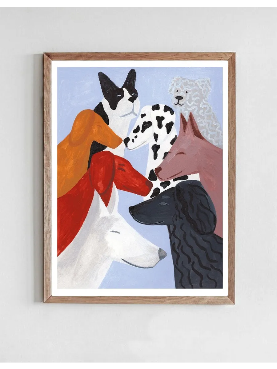 Dog Collection