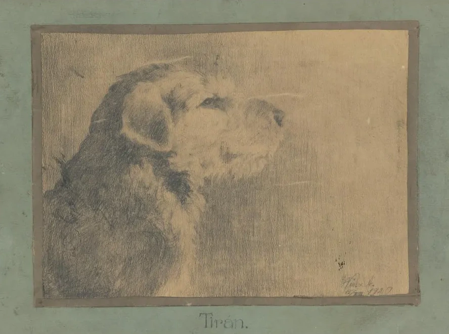 Dog Tir n