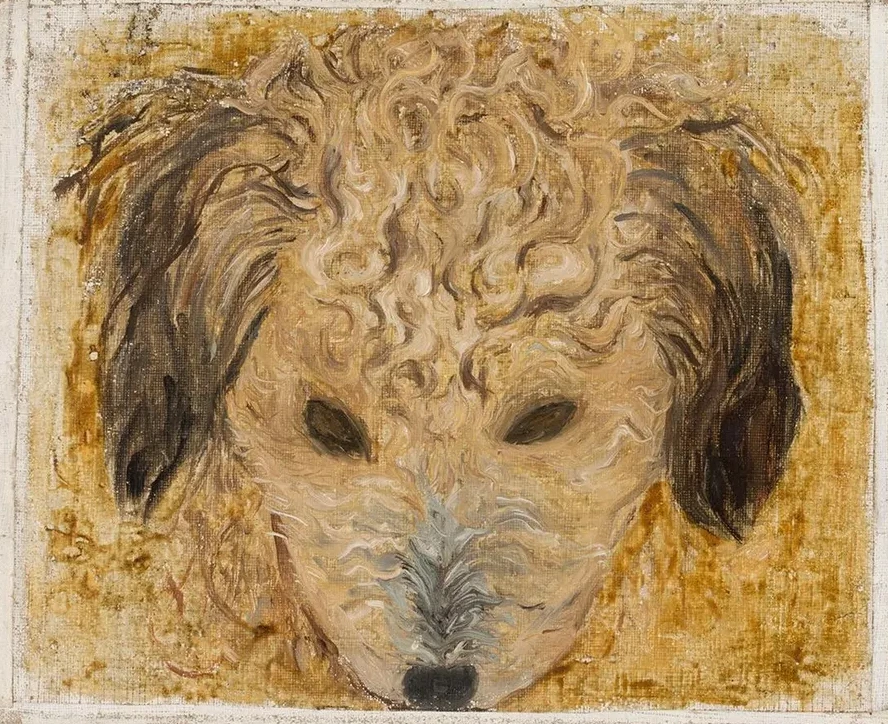 Dog's Head