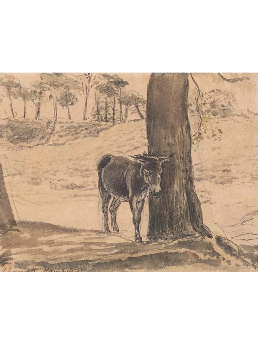 Donkey Beside a Tree, Hampstead