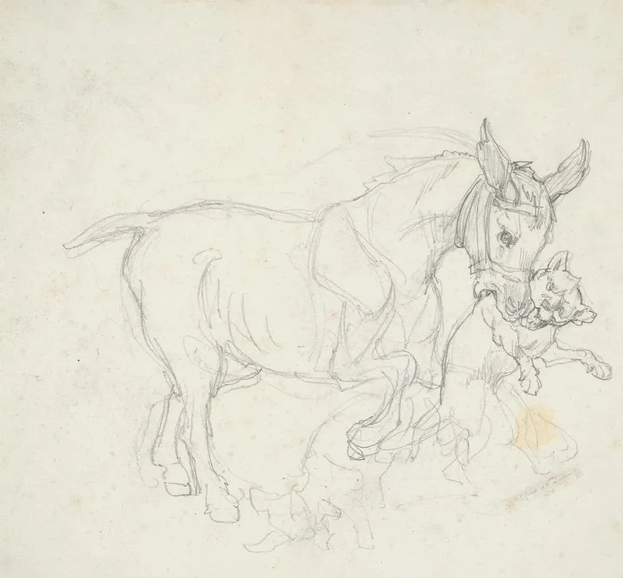 Donkey Holding Dog in its Mouth