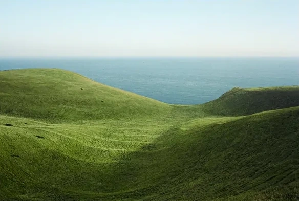Dorset