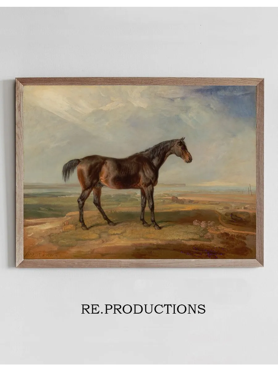 Dr. Syntax, a Bay Racehorse, Standing in a Coastal Landscape, an Estuary Beyond