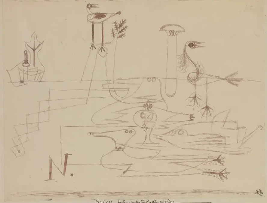 Drawing For Bird Islands