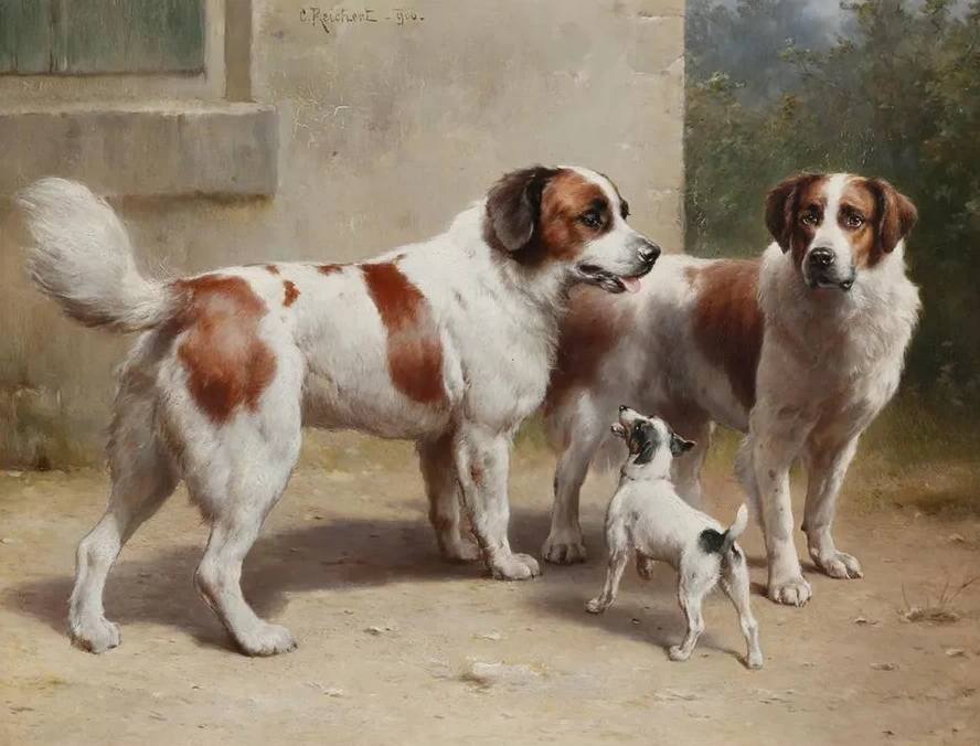 Drei Hunde