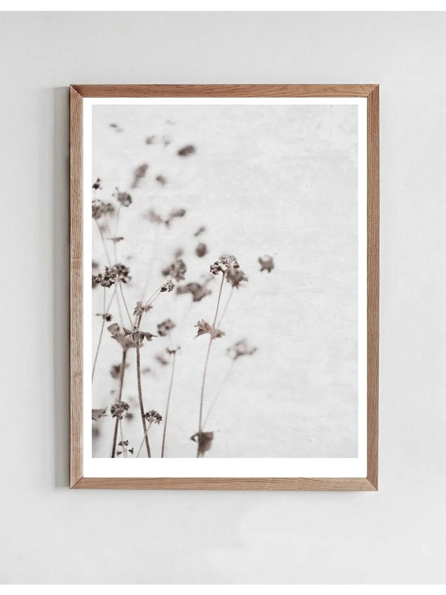 Dried Flower 3