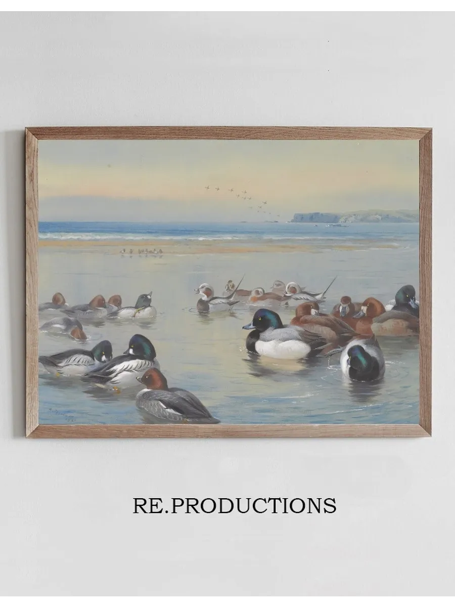 Ducks Along The Shoreline