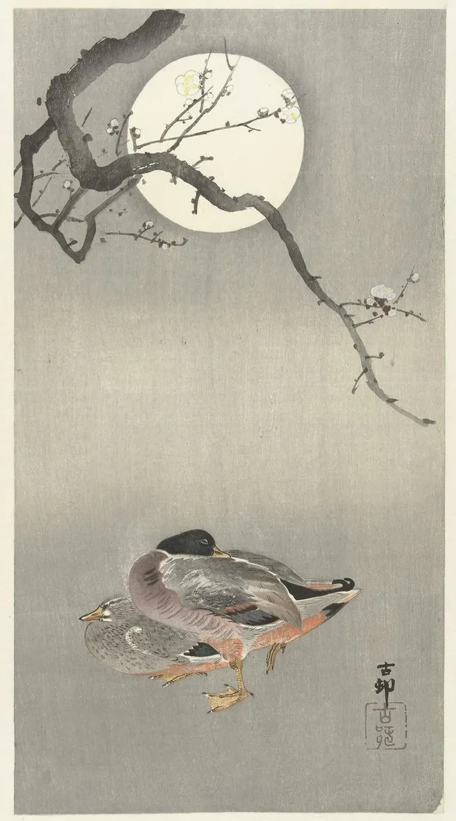 Ducks at Full Moon
