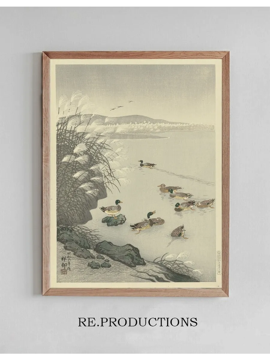 Ducks in the Water