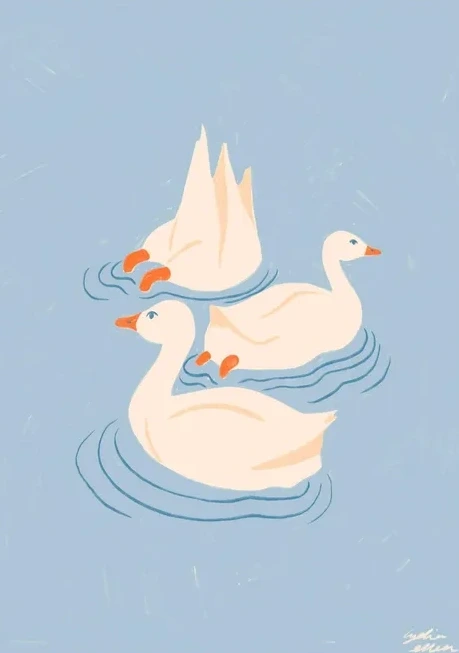 Ducks