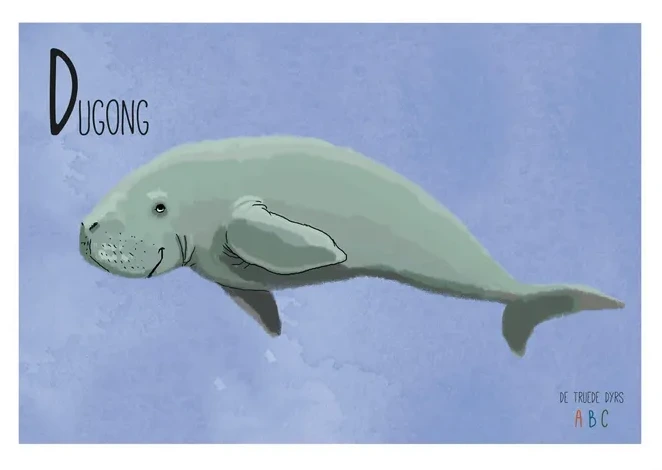 Dugong