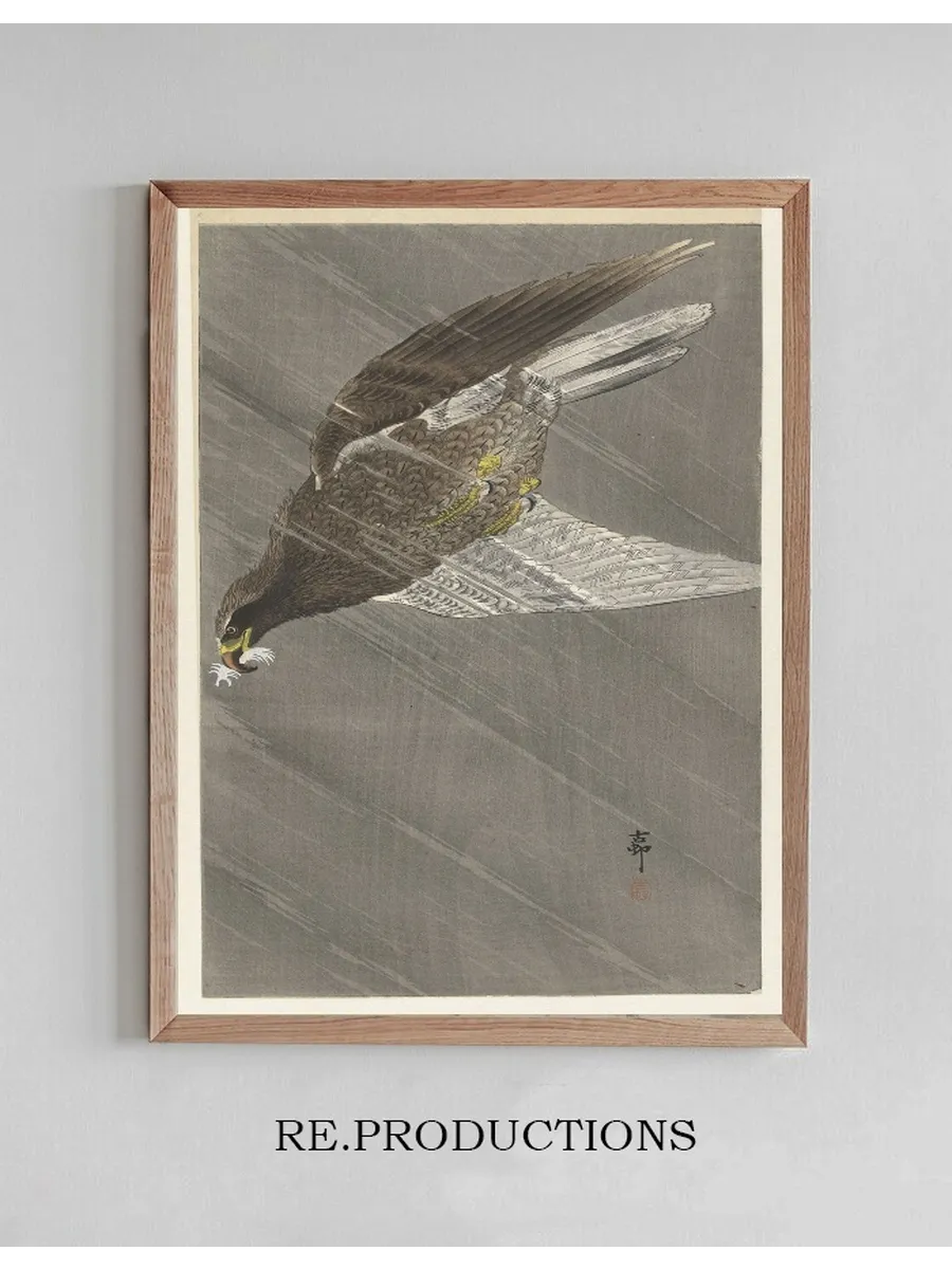 Eagle Flying Down
