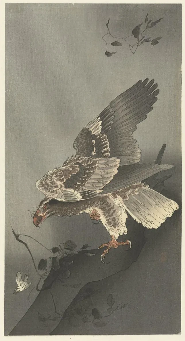 Eagle Lurking for Prey