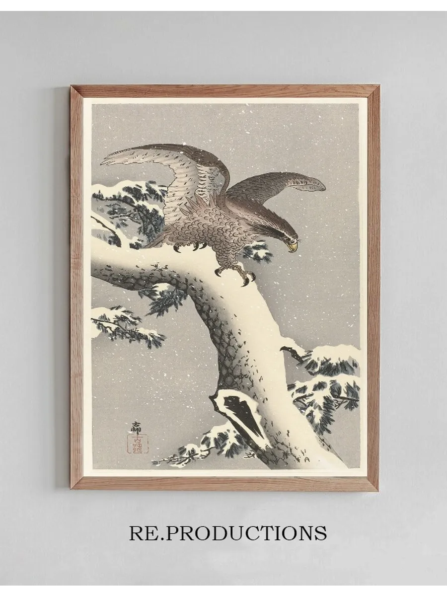 Eagle on Snowy Pine Tree