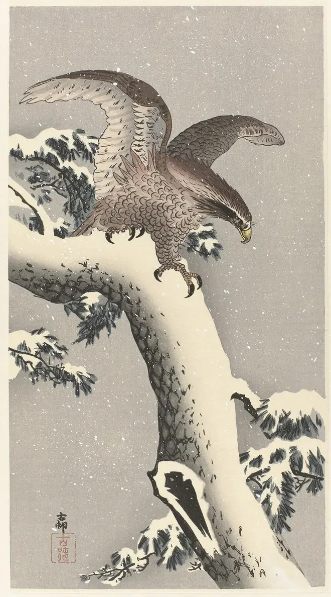 Eagle on Snowy Pine Tree