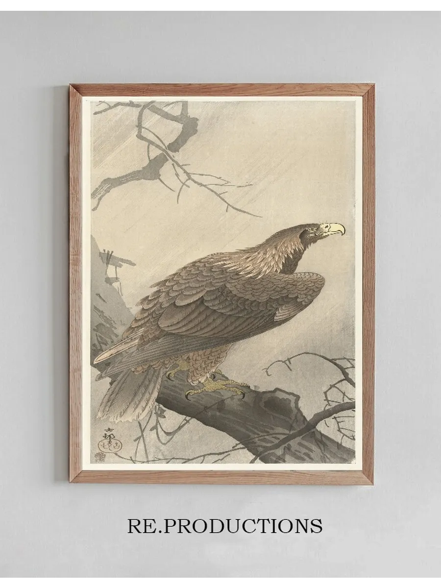 Eagle on Tree Branch