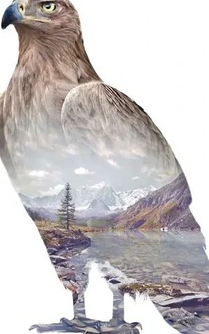 Eagle
