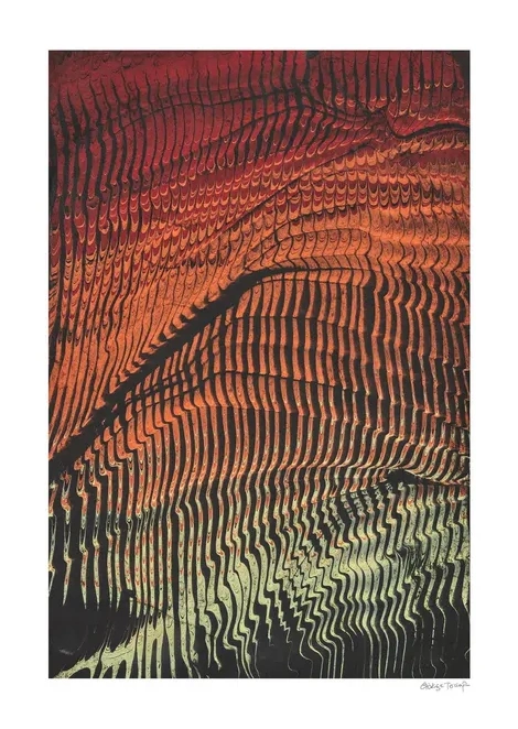Earth