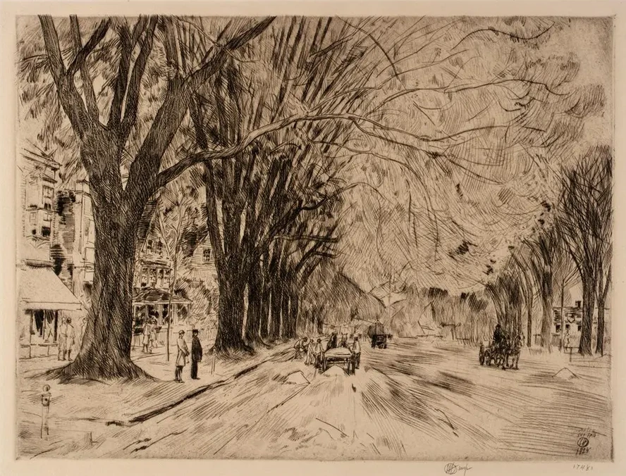 Easthampton Elms in May