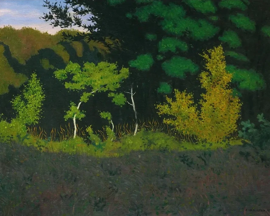 Edge Of The Wood