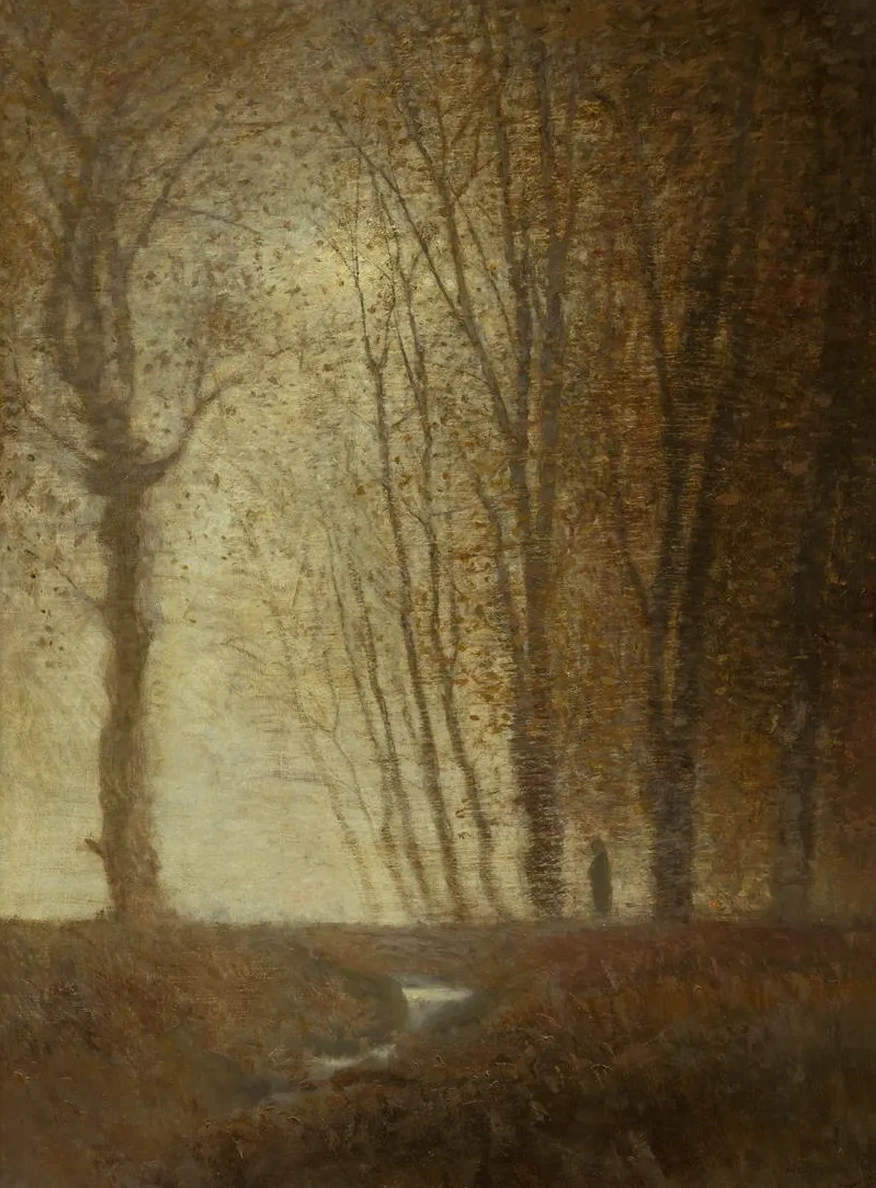 Edge of the Forest in the Moonlight