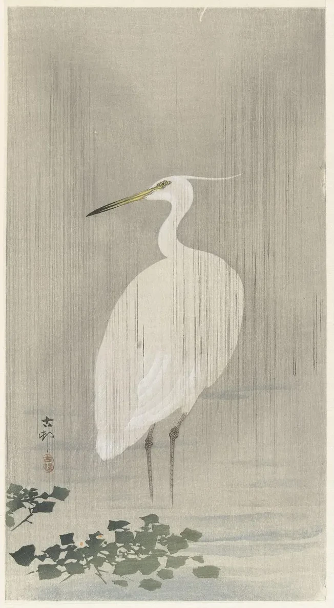 Egret in Rain