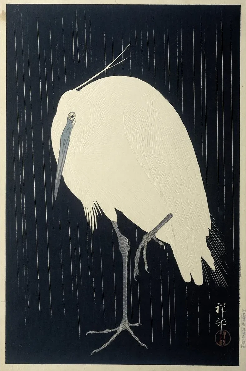 Egret in the Rain