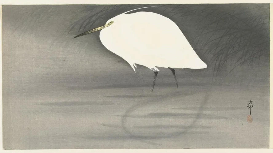 Egret