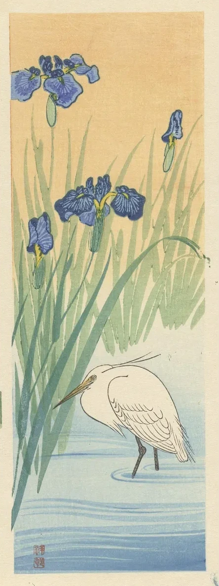 Egret