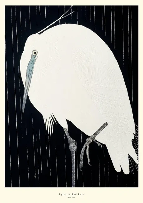 Egretin The Rain