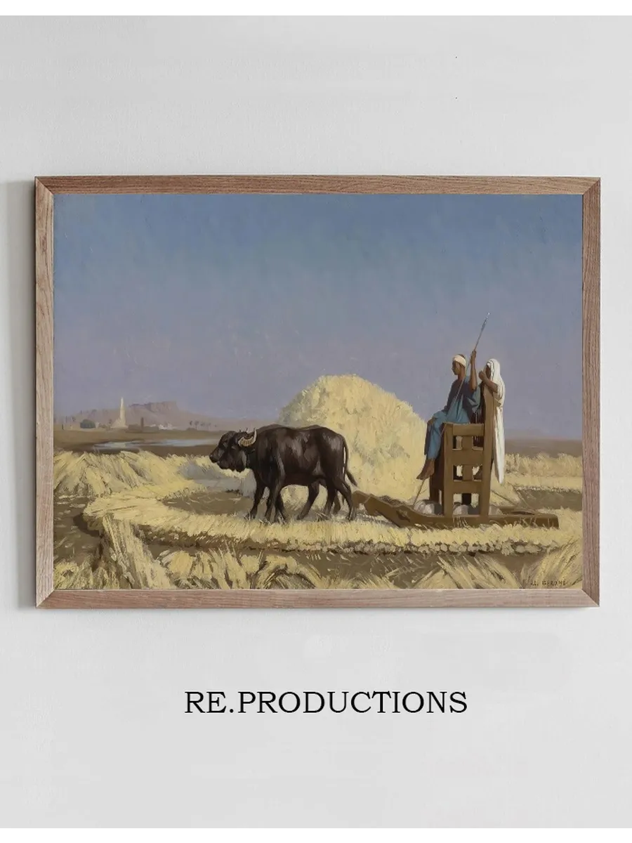 Egyptian Grain - Cutters
