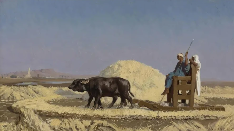 Egyptian Grain - Cutters