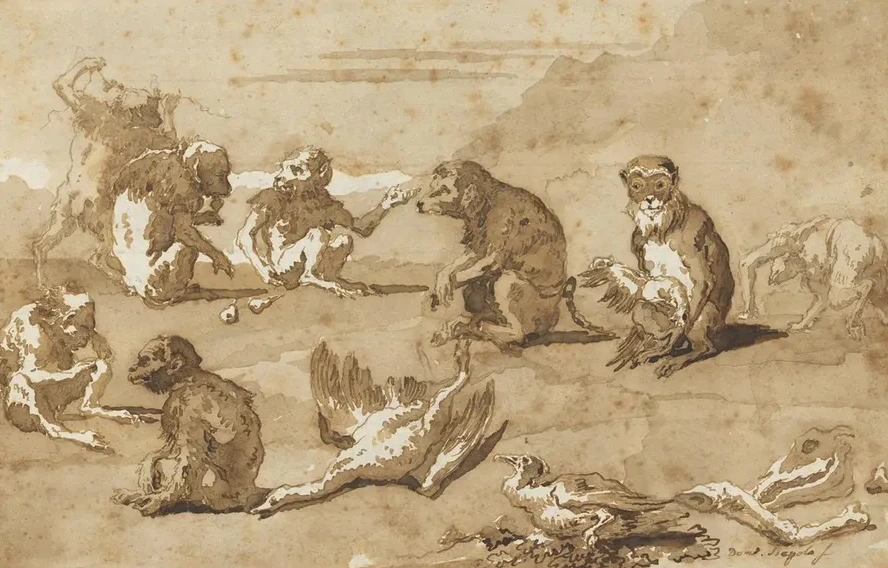 Eight Monkeys, a Dead Goose, and a Cormorant