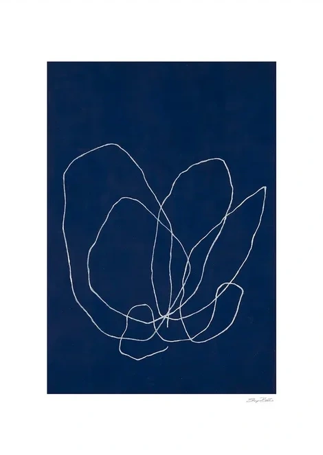 Elements of a Tulip