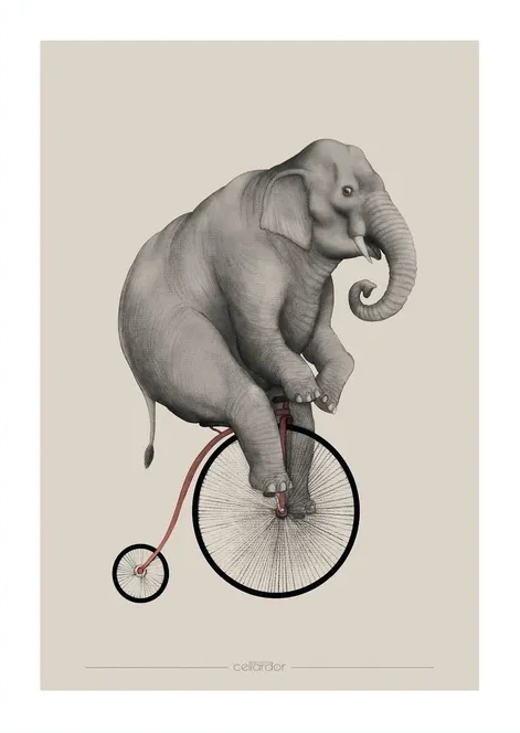 Elephant Riding