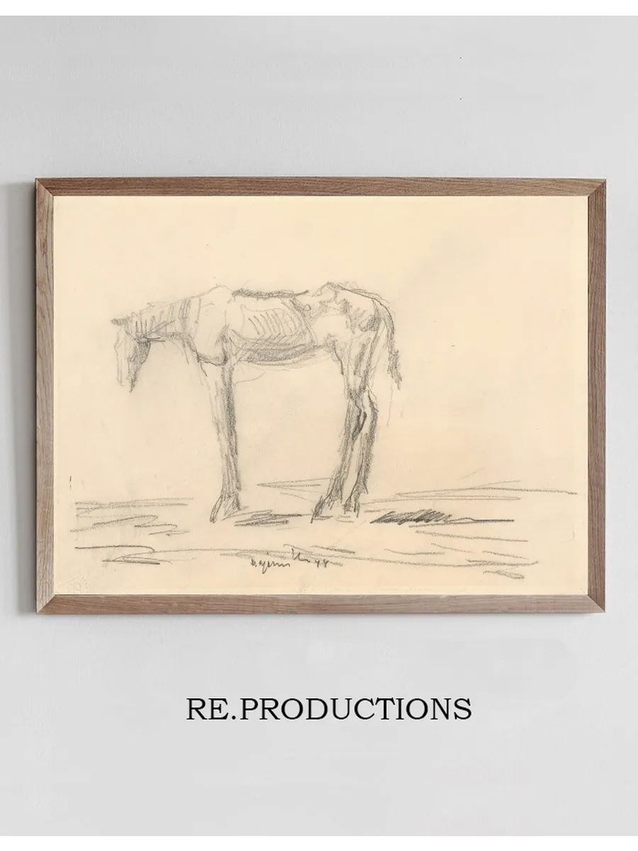 Emaciated Horse