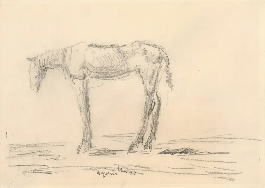 Emaciated Horse
